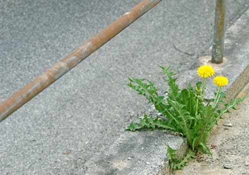 Tristesse meets nature