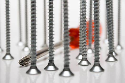 Screwdriver with screws