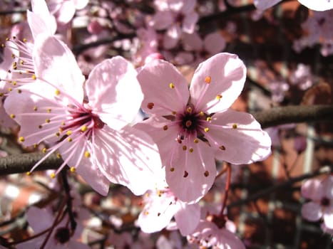 Spring is finally here. And I wish you a happy 1st of May.