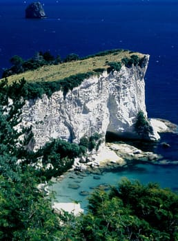 ----------------- scan of the slide---------------- The beach world of Hahei and Cathedral Cove Hahei is an attractive beach lined with pohutukawas and has heaps of pink shells at the north end. Islands off the coast are breakwaters,ideal for