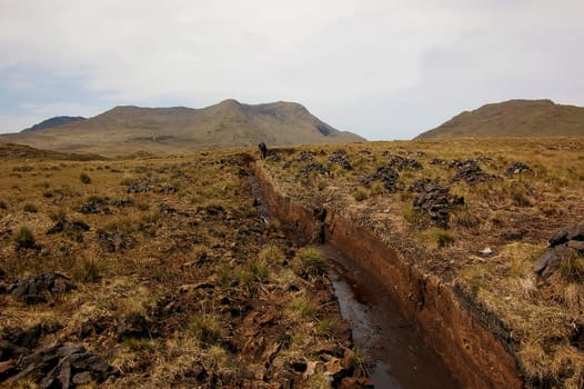 Peat cutting
