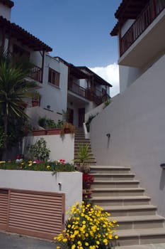 Cyprus 2005