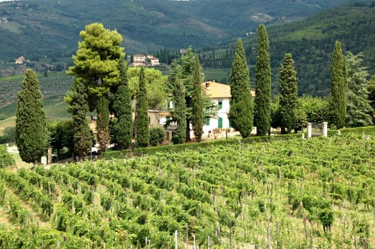 Tuscany Winery