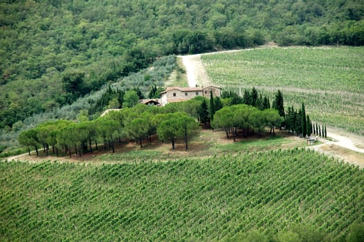 Tuscany Winery2