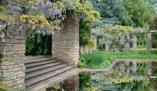 Green oasis
