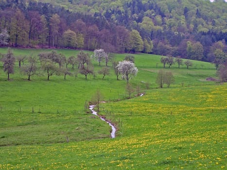 Gönzbachtal