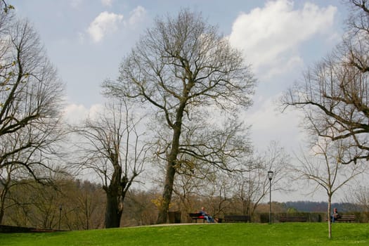 In the park