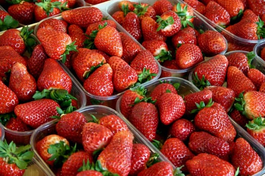 Strawberries