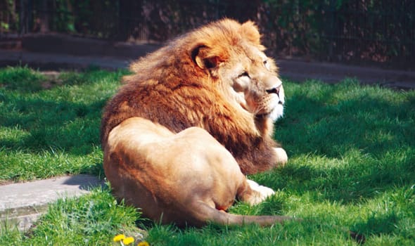 Dortmund Zoo,May 2006