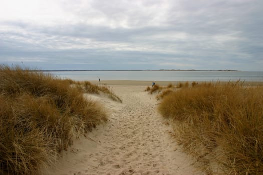 ... in April on the island of Föhr. (The island of Amrum can be seen in the background.)