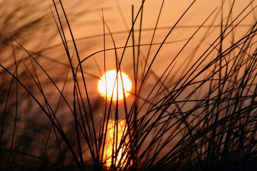 Sunset on the island of Föhr,photographed through the dunes.