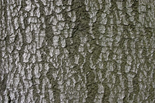 Natural background