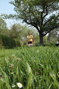 cut lawn or mow lawn
