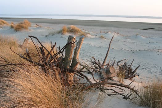 Shortly before sunset on the beach on Föhr.