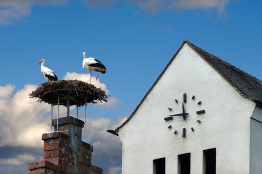 Stork's nest in front of a building with a wall clock Population policy shortly before 12
