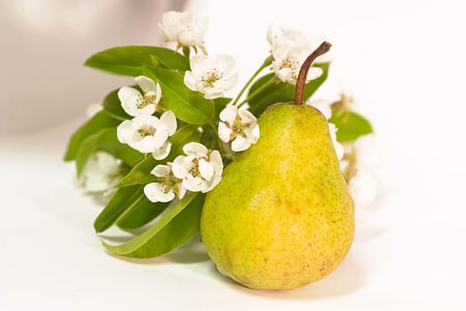 Pear