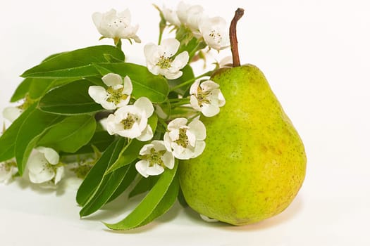 Pear
