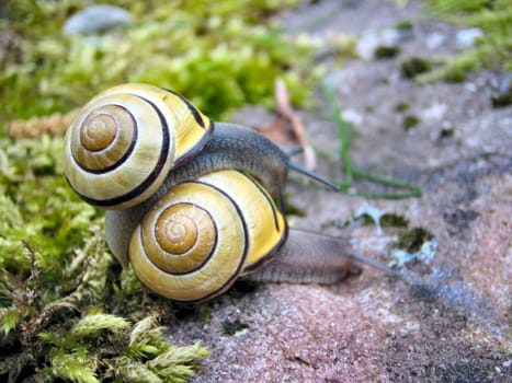 Climbing