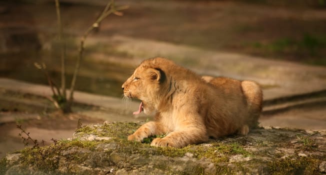 so tired....