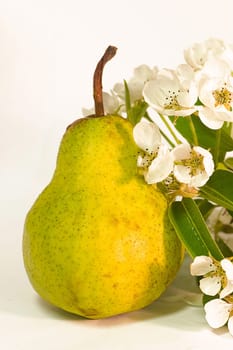 Pear