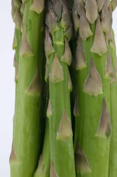 Asparagus Green