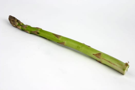 Asparagus Green