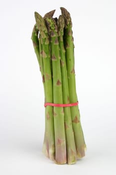 Asparagus Green