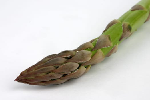 Asparagus Green
