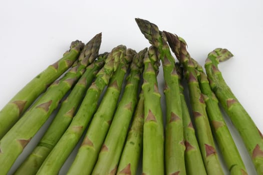 Asparagus Green