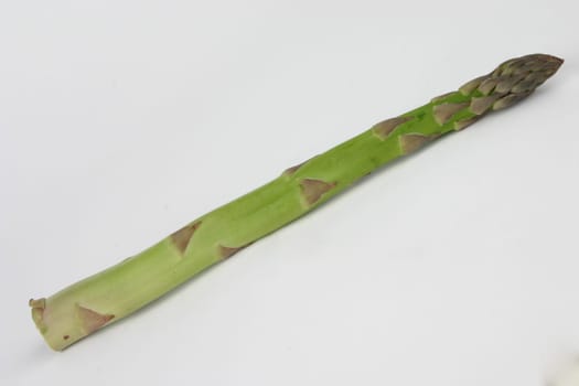 Asparagus Green