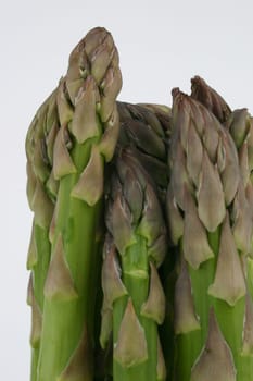 Asparagus Green