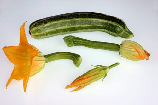 Zuchini Zuccini
