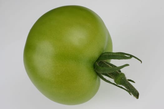 Tomatoes Tomato