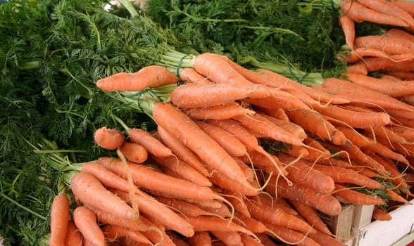 carrots
