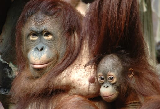 Proud mother