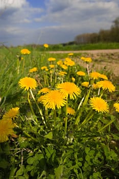 Spring