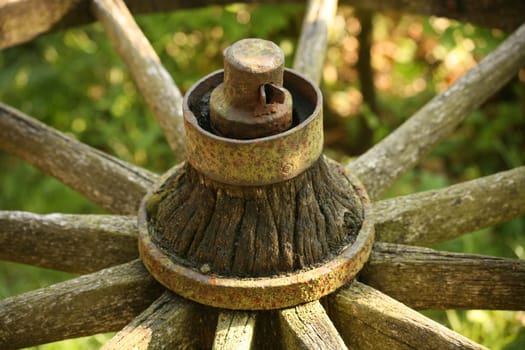 Old wagon wheel