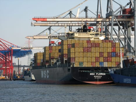 MSC-Florida