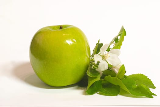 Apple with foliage