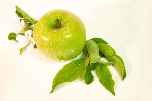 Apple with foliage from above