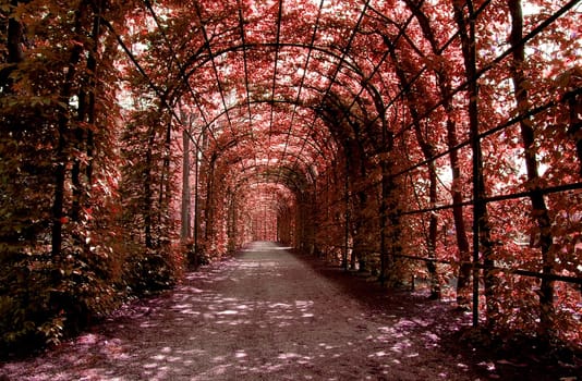 Leaves Tunnel
