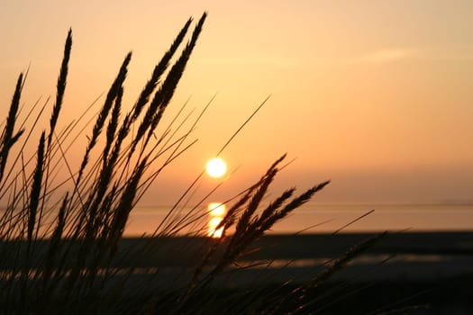 ... on the island of Föhr.