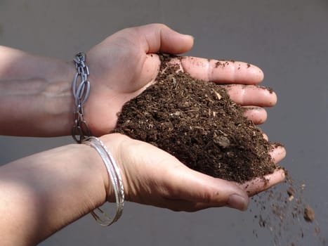Handful of soil