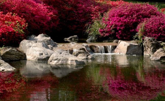 A place to enjoy