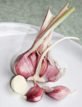 The drug has antibacterial,antifungal (mycosis = fungal disease) and lipid-lowering (fat-lowering) effects. In addition,an inhibition of platelet aggregation,a prolongation of blood clotting time and an increase in fibrinolytic (fibri