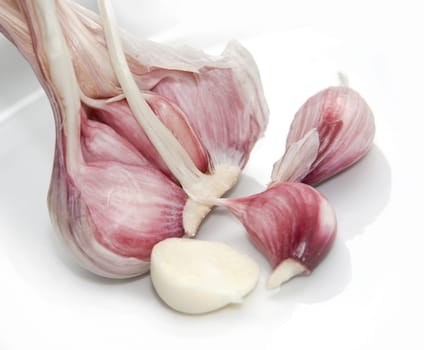the be-all and end-all of good food,fresh garlic!