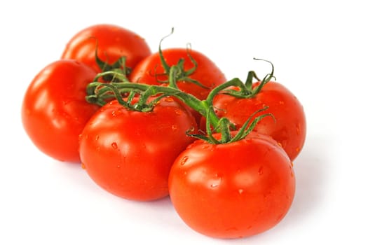 Tomatoes