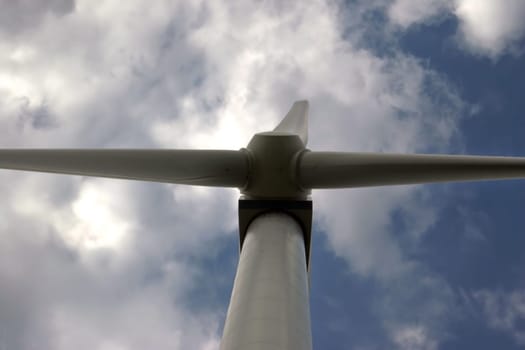 Rotor
