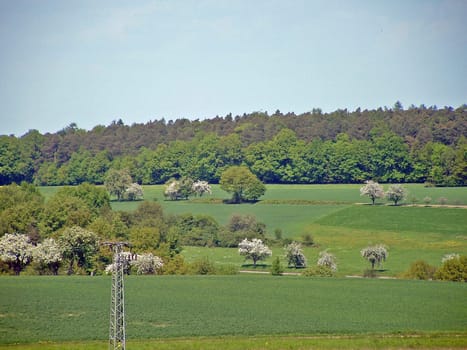 Odenwald