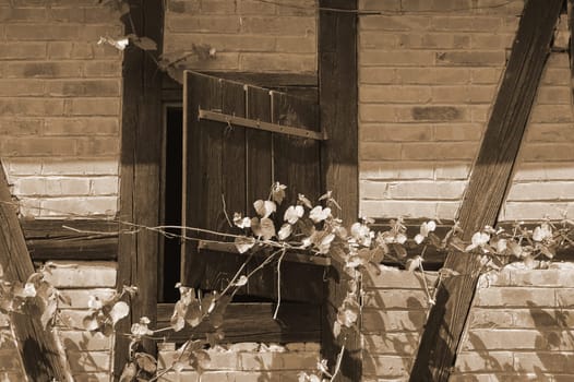 Wooden windows open,in sepia tint